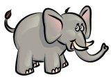 elefant